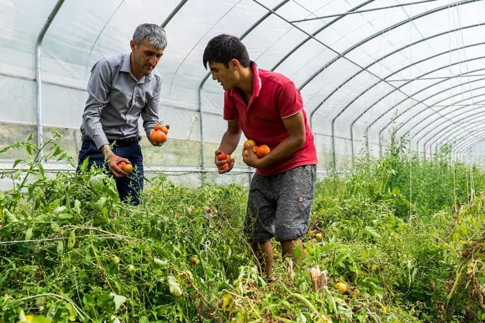 AKDN Greenhouse Gas Emissions Management English 980x653